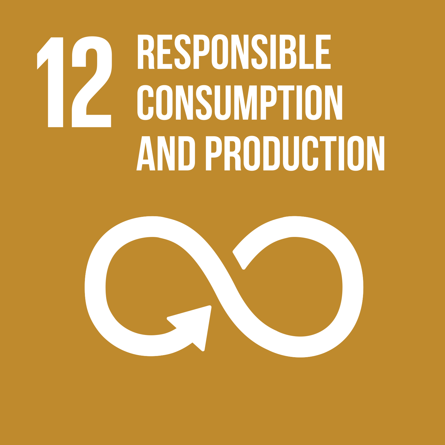 United Nations Sustainable Development Goal 12: Ensure sustainable consumption and production patterns